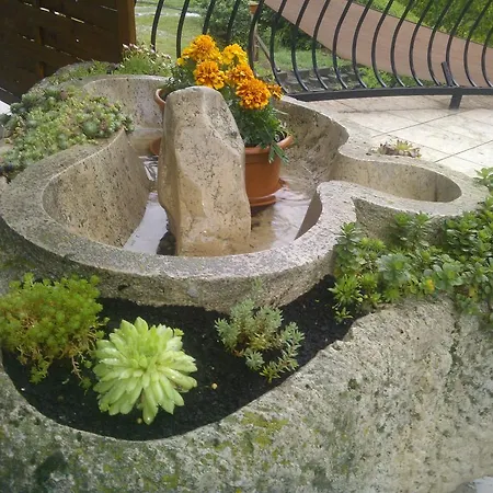 Nautilus Etterem Es Panzio Guest house