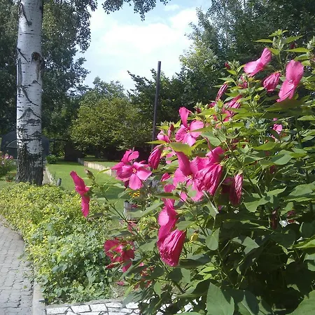 Guest house Nautilus Etterem Es Panzio Dabas